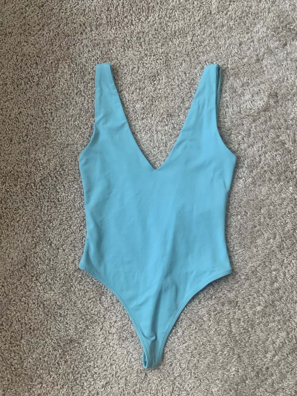 Aritzia Babaton V-Neck Bodysuit